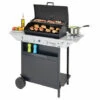 Campingaz Grill XPERT 200 LS + Rocky Gas Mit Backofen, Grill, Seitenherd -Grill Verkauf 50739162 1